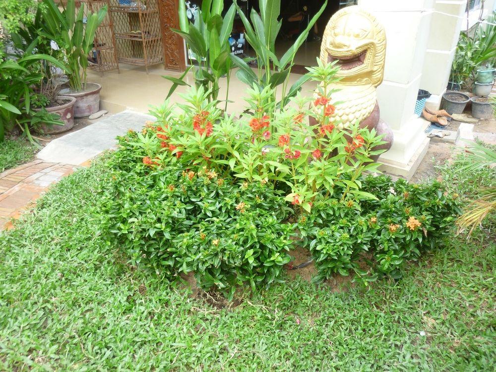 Angkor Reas Guesthouse Siem Reap Buitenkant foto