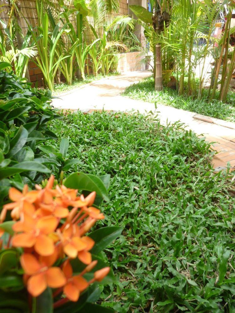 Angkor Reas Guesthouse Siem Reap Buitenkant foto